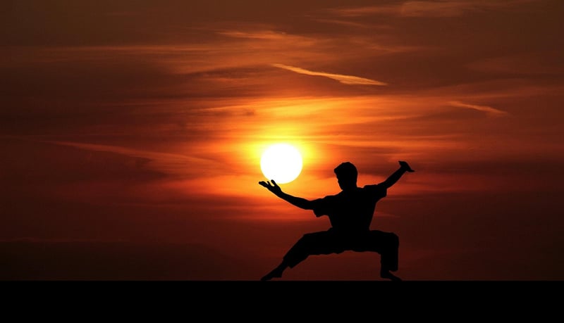 Chen Style Martial Arts